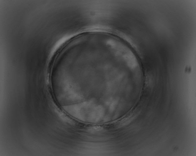 X0000091491462200708301926