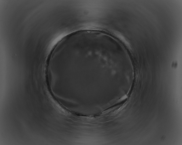 X0000091491463200708301925