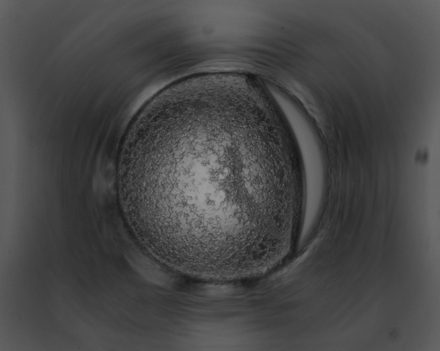 X0000091491465200708301925