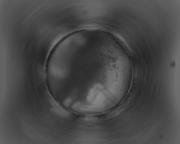 X0000091491466200708301925