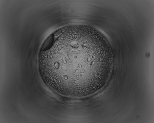 X0000091491467200708301925