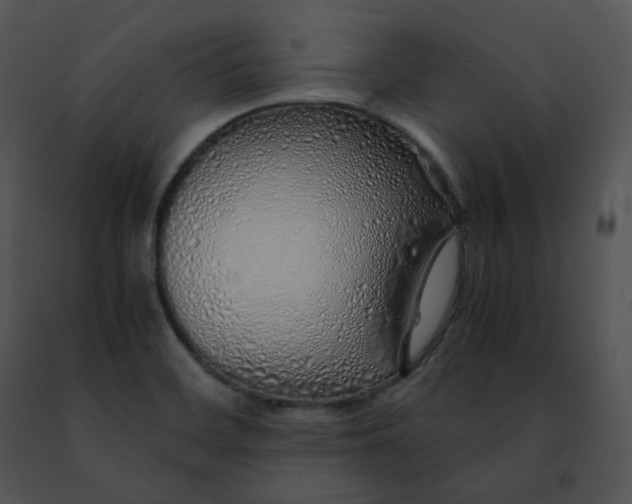 X0000091491468200708301925