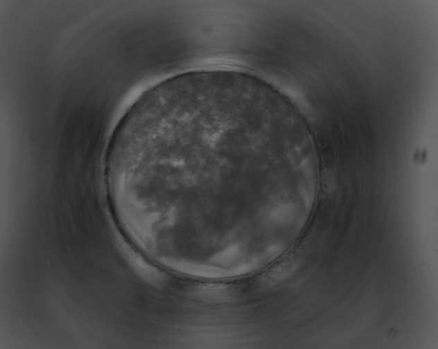 X0000091491470200708301925