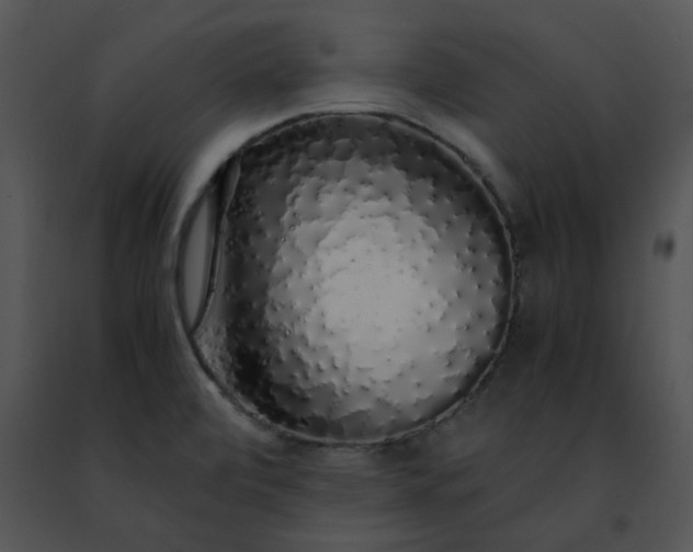 X0000091491472200708301925