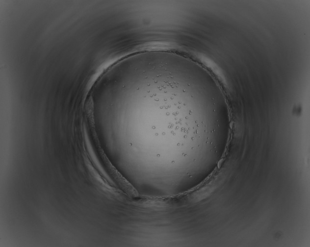 X0000091491473200708301925