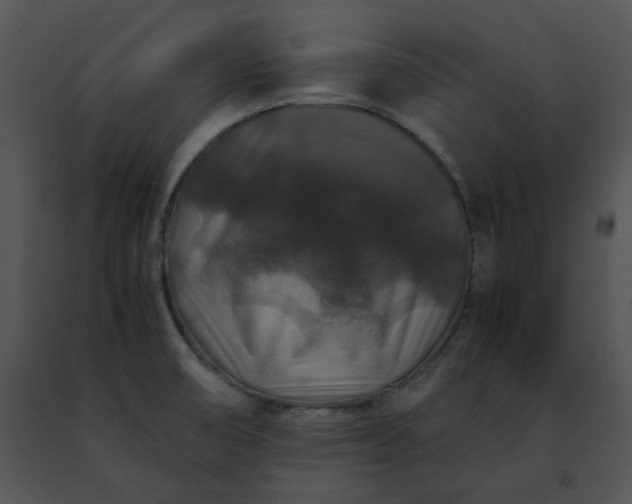 X0000091491474200708301925