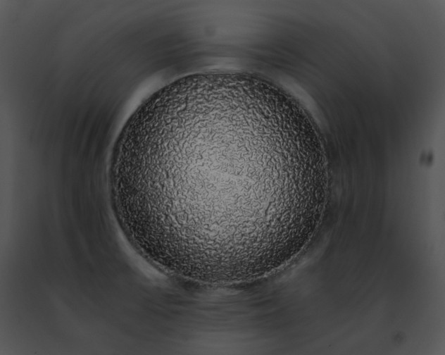 X0000091491475200708301925