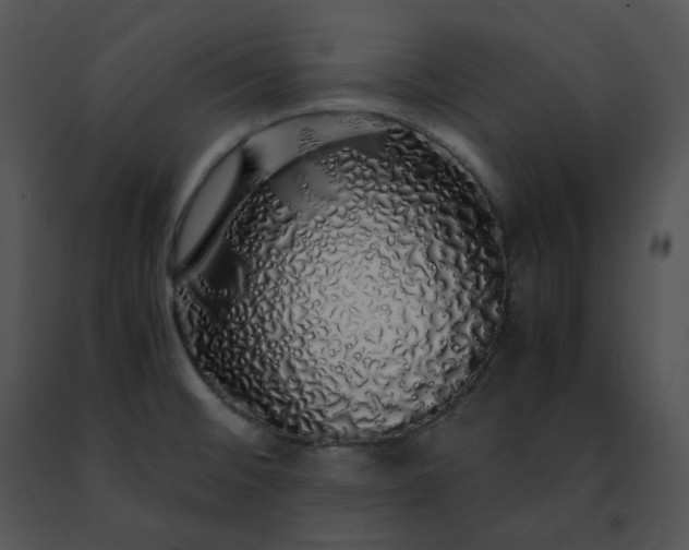 X0000091491476200708301925