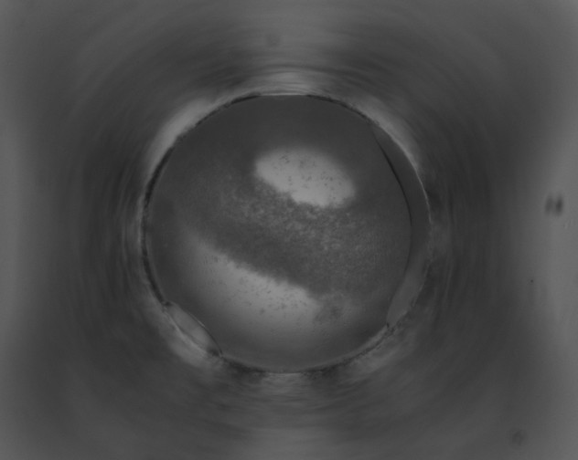 X0000091491477200708301925