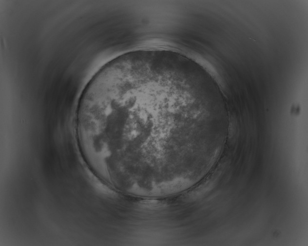 X0000091491478200708301925