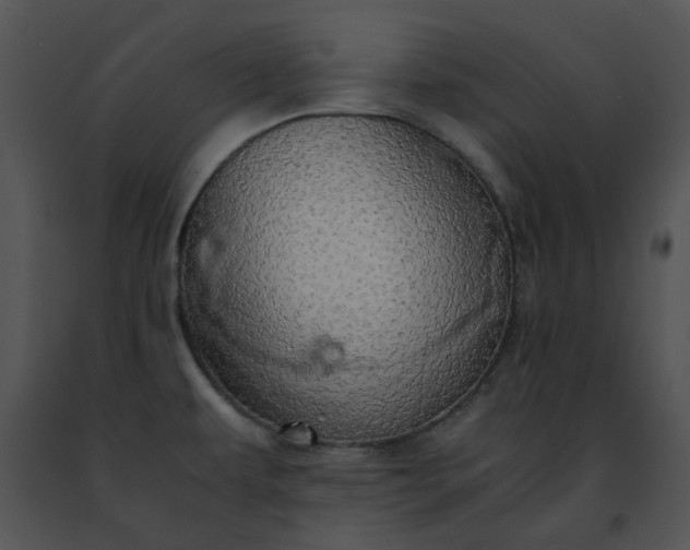 X0000091491479200708301925