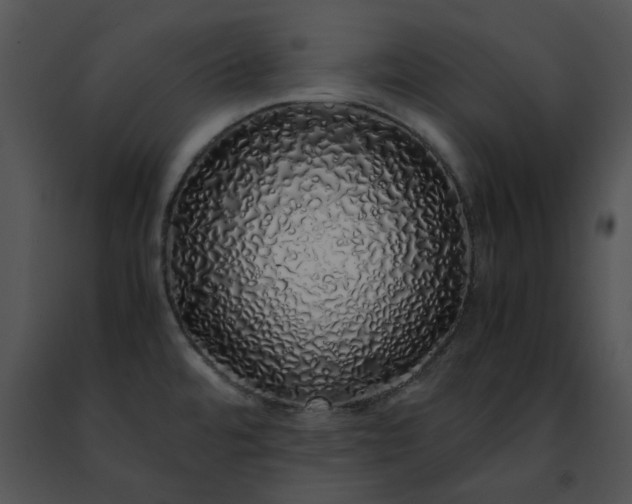 X0000091491480200708301925