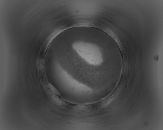 X0000091491481200708301925