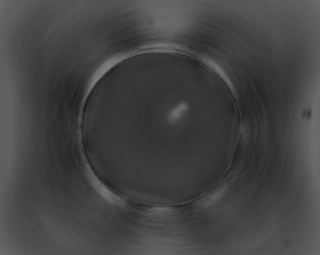 X0000091491482200708301925