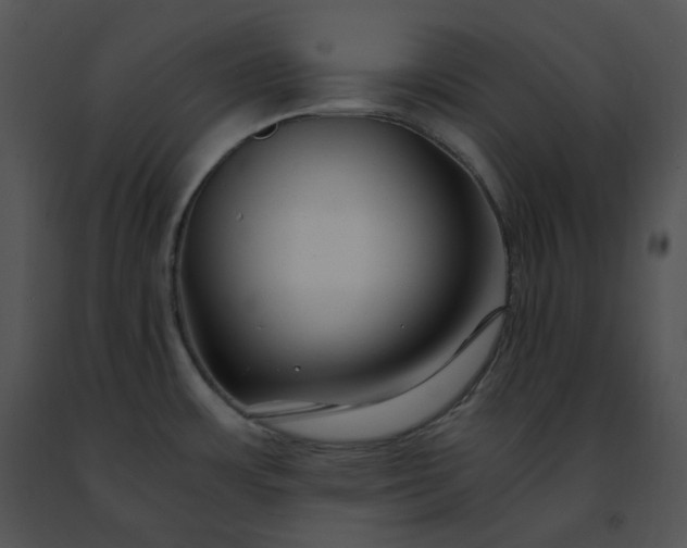 X0000091491483200708301925