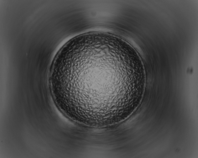 X0000091491484200708301925