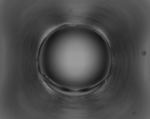 X0000091491485200708301925