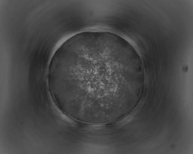 X0000091491486200708301925