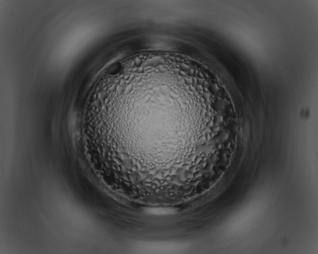 X0000091491487200708301925