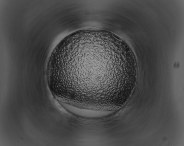 X0000091491488200708301925