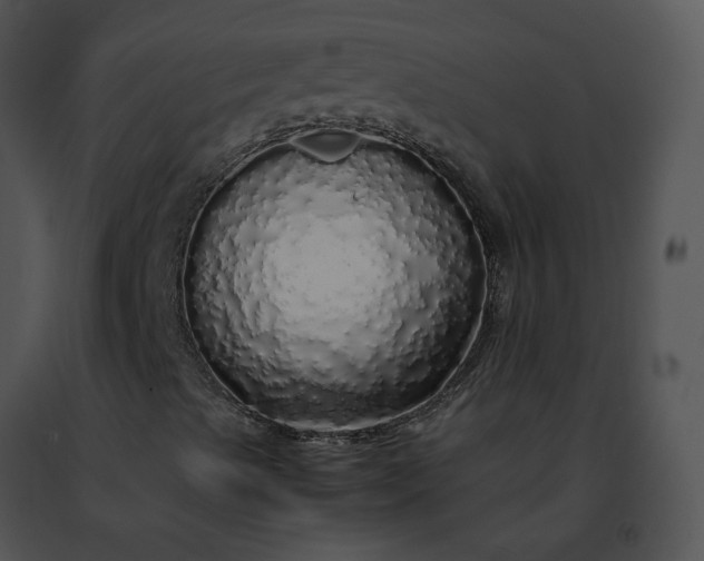 X0000091491489200708301924