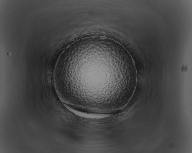 X0000091491490200708301924