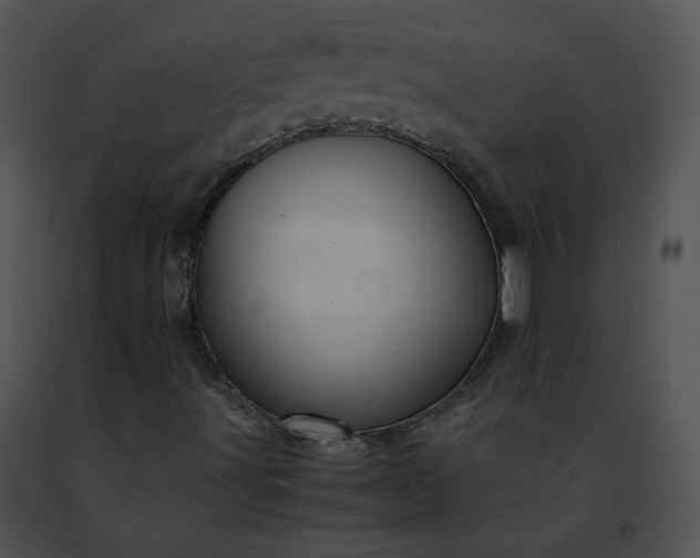 X0000091491491200708301924