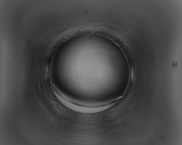 X0000091491492200708301924