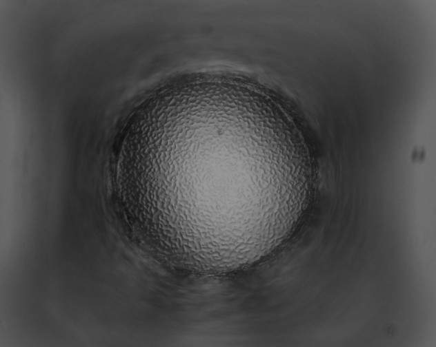 X0000091491493200708301924