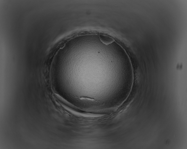 X0000091491494200708301924