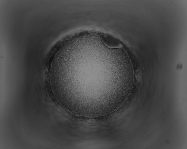 X0000091491495200708301924