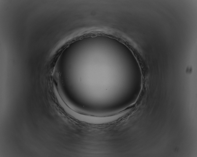 X0000091491496200708301924