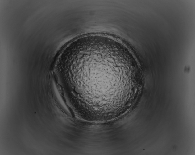 X0000091491497200708301925