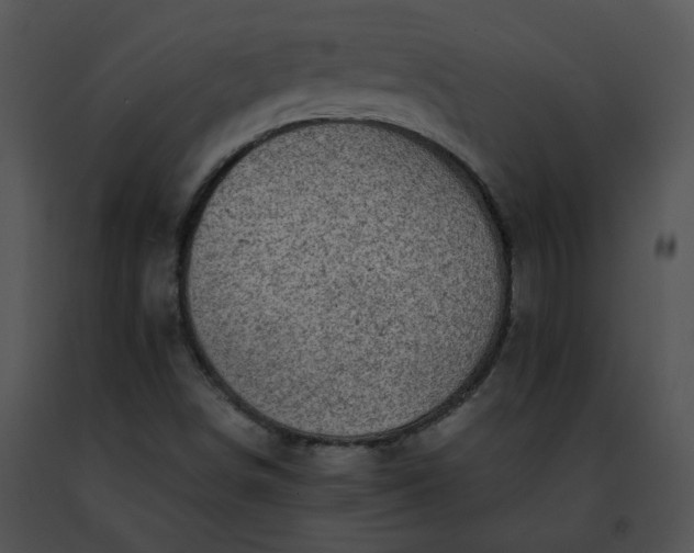 X0000091491498200708301925