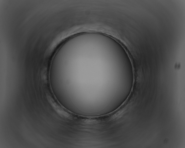 X0000091491499200708301925