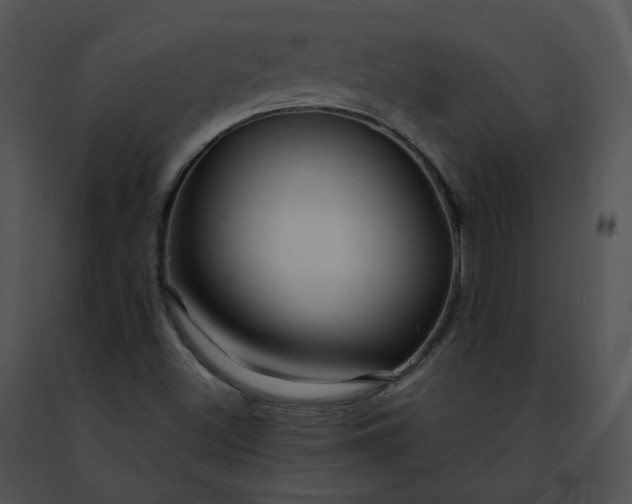 X0000091491500200708301925