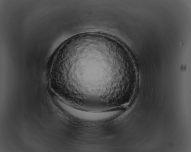 X0000091491501200708301925