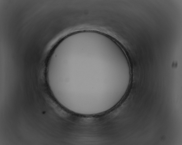 X0000091491502200708301925