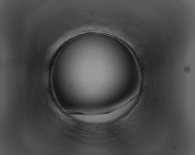 X0000091491503200708301925