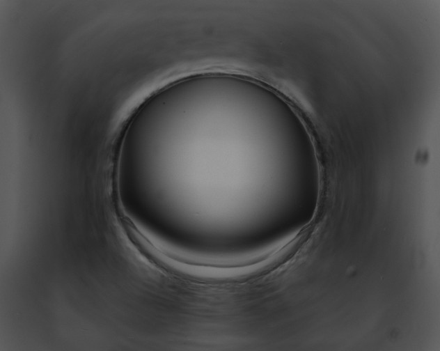 X0000091491504200708301925