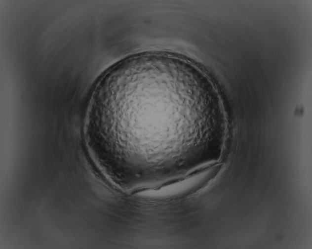 X0000091491505200708301925