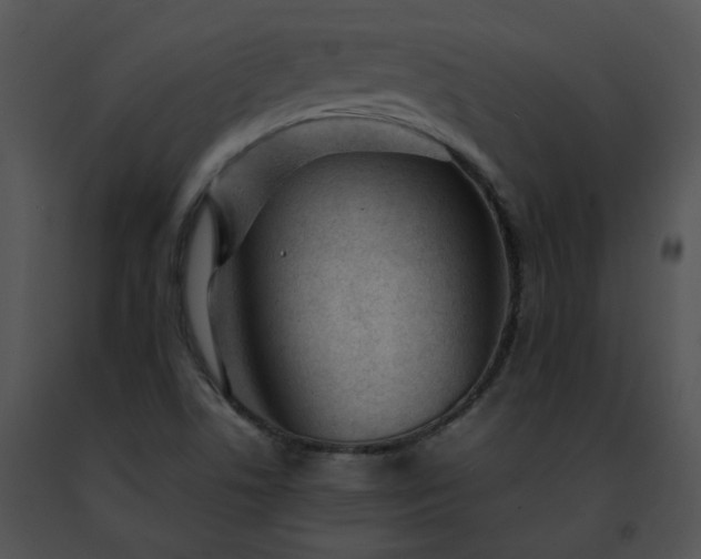 X0000091491506200708301925