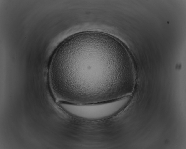 X0000091491507200708301925