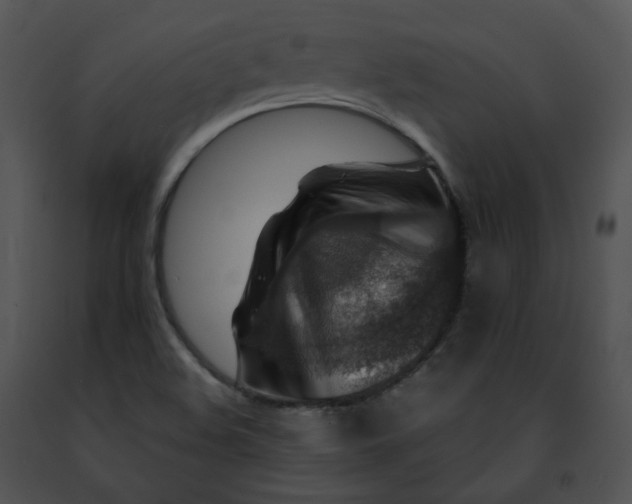 X0000091491508200708301925