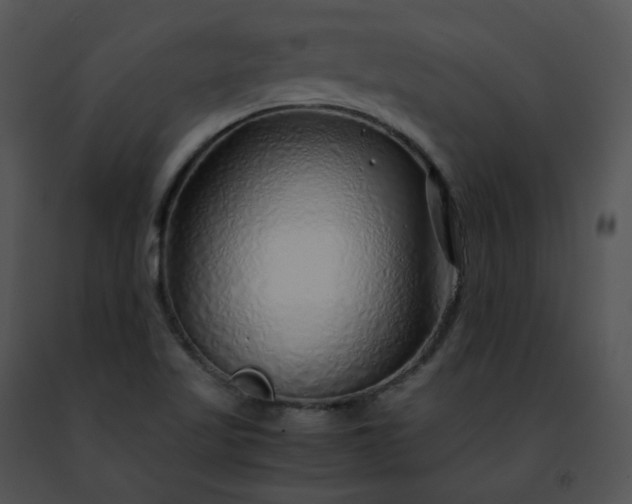 X0000091491509200708301925