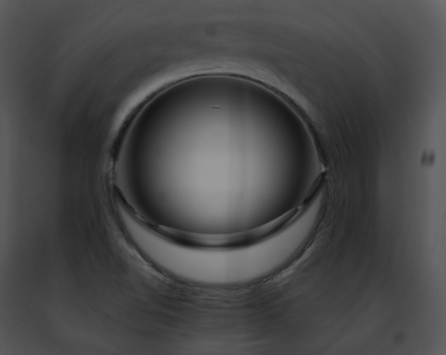 X0000091491510200708301925