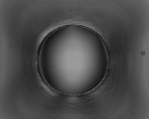 X0000091491511200708301925