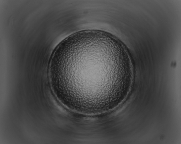 X0000091491513200708301925