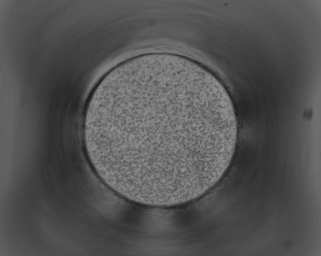 X0000091491514200708301925