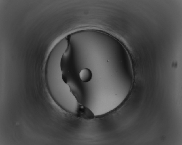 X0000091491516200708301925